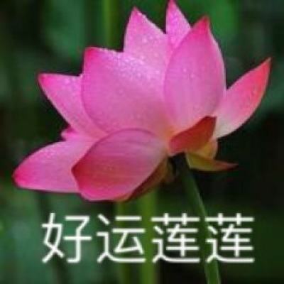 岚山区2024年老年健康宣传周活动启动